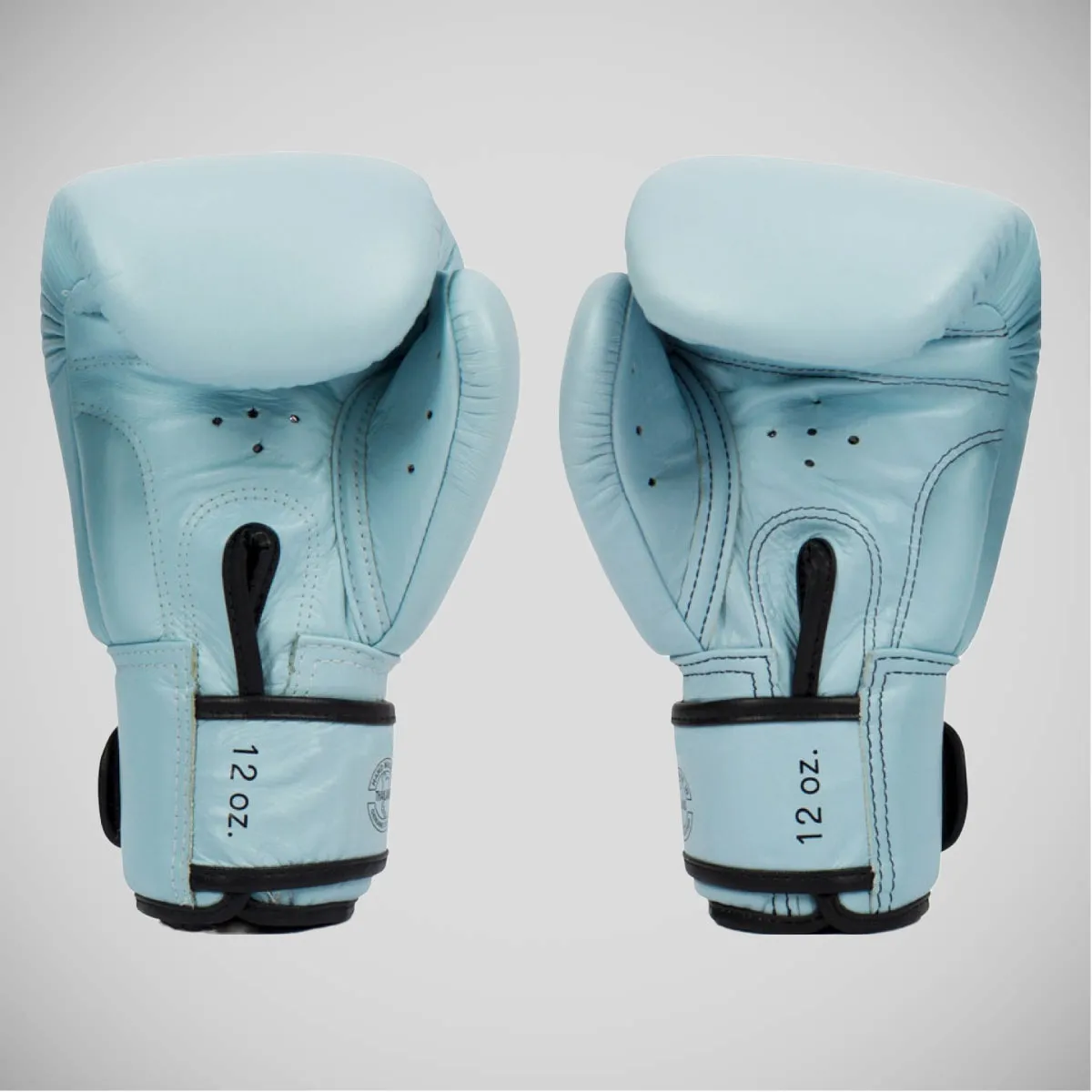 Blue Fairtex BGV20 Boxing Gloves