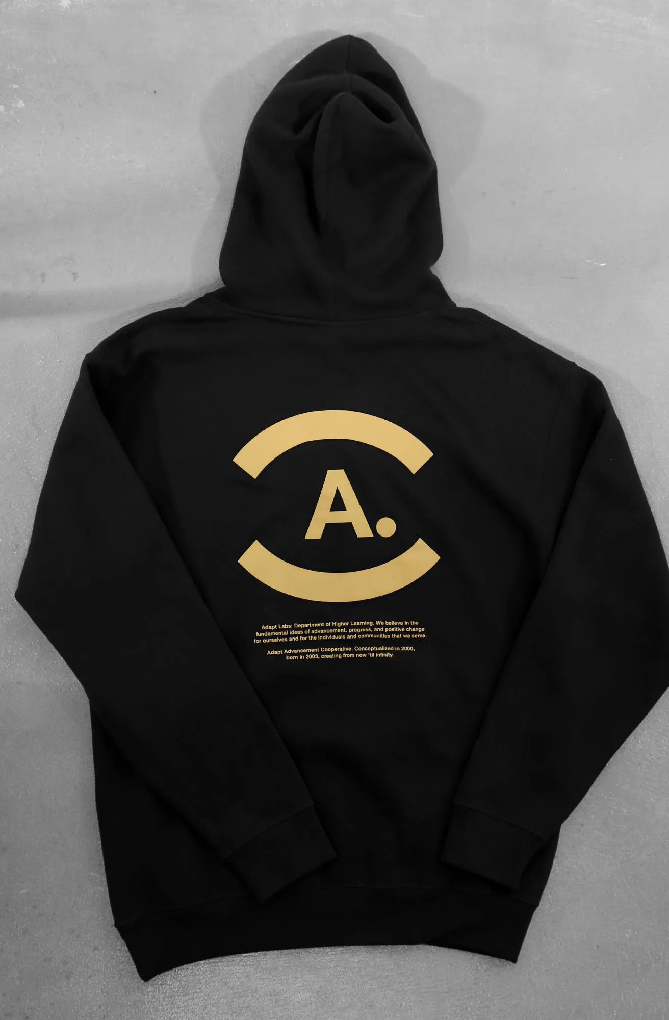 Higher Learning (Men's Black Hoody)