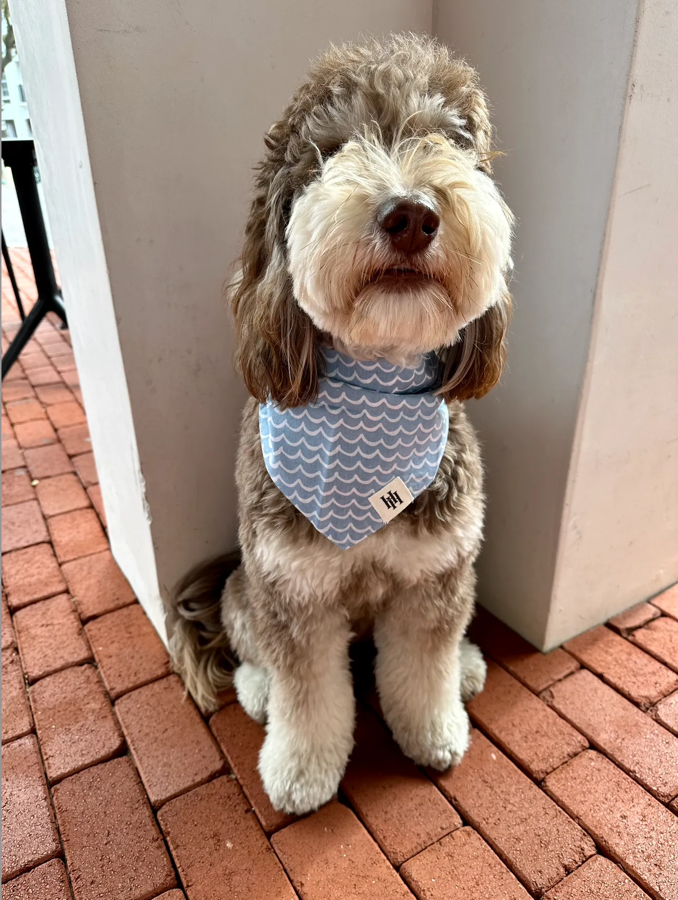 Perfect Wave Bandana