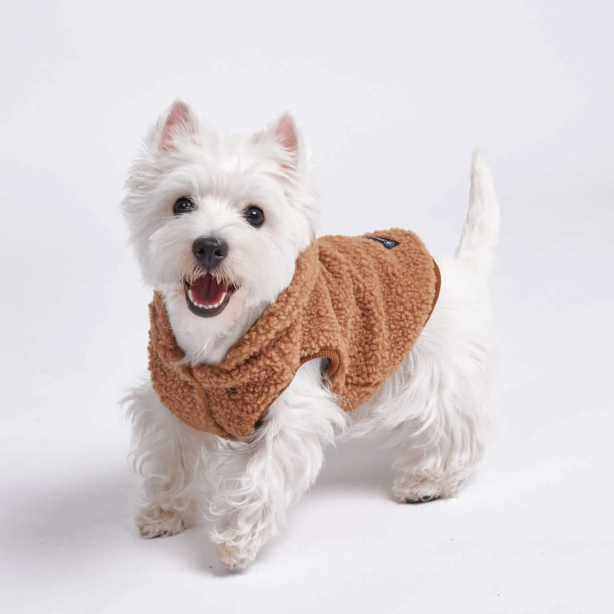 Teddy Sherpa Dog Jackets