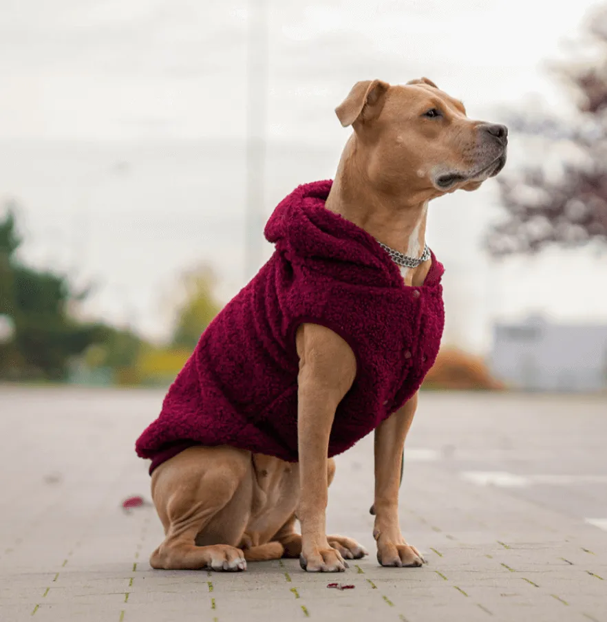 Teddy Sherpa Dog Jackets